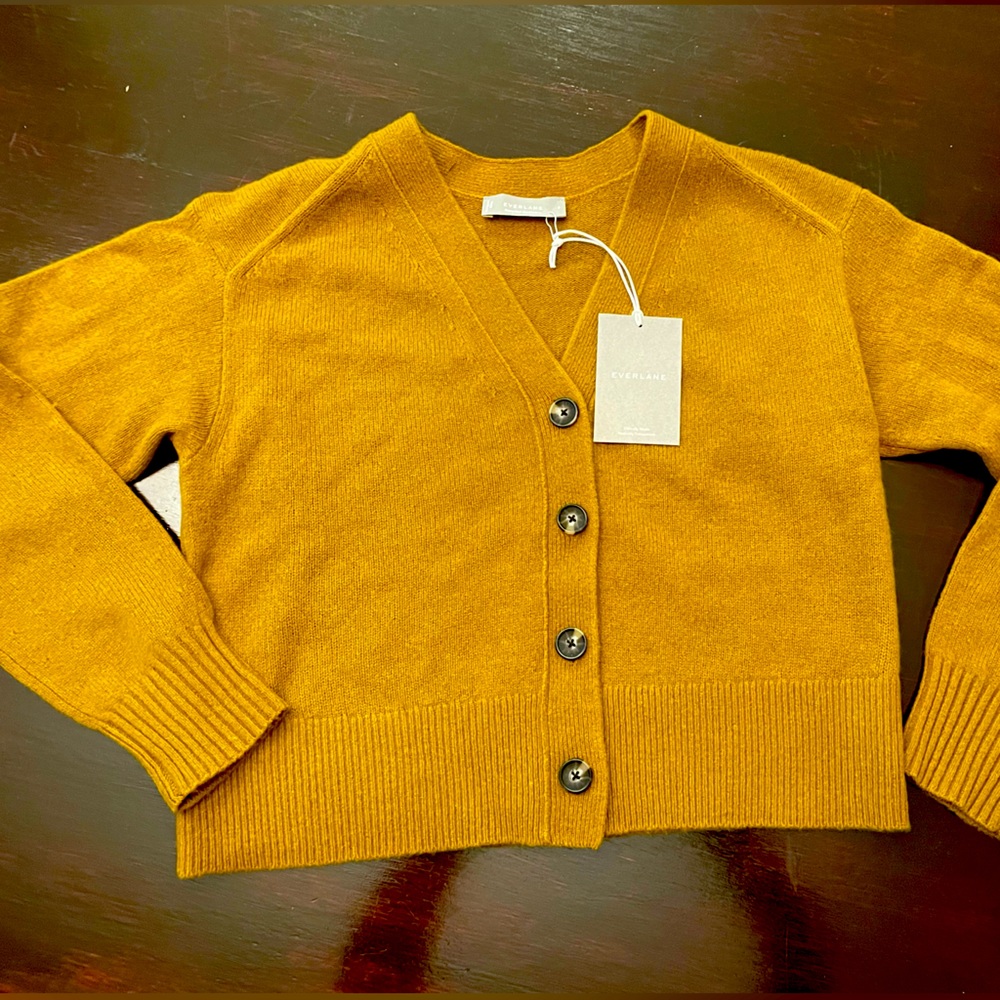 Brand new Everlane cardigan.